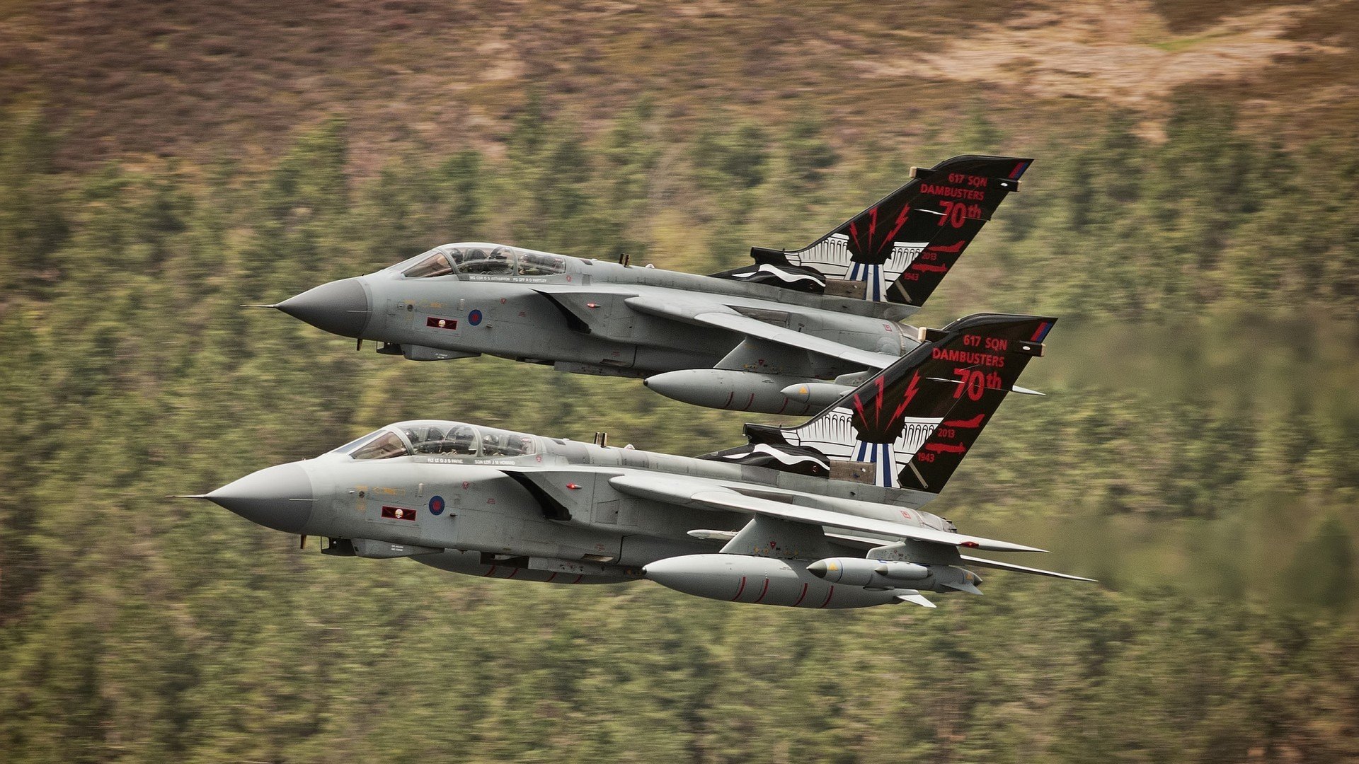 体育赛事风险预警系统，体育赛事风险预案